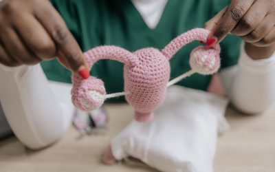 Understanding Menopause: Transition and Symptoms